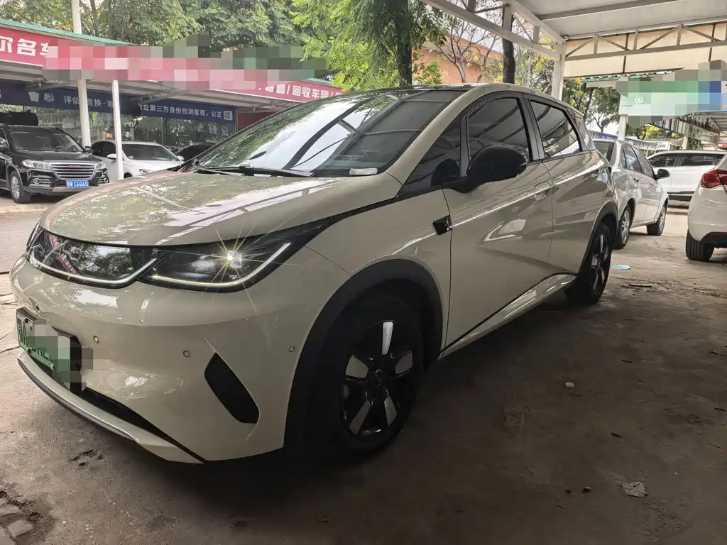 BYD Dolphin