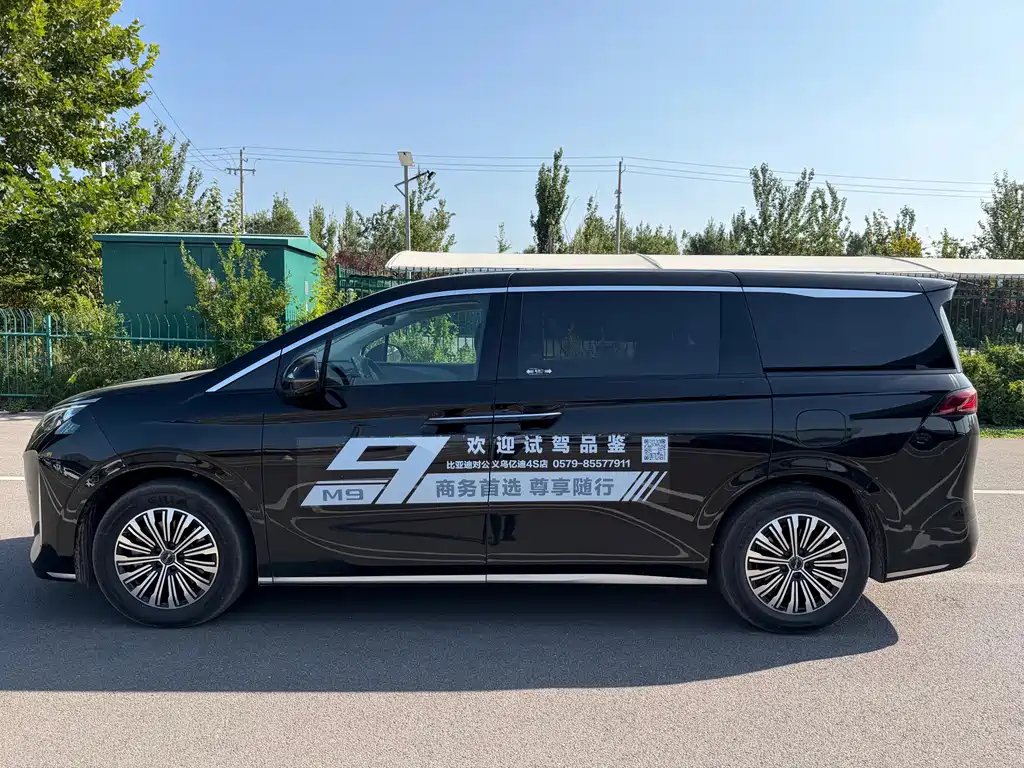 BYD M9 — миниатюра 7