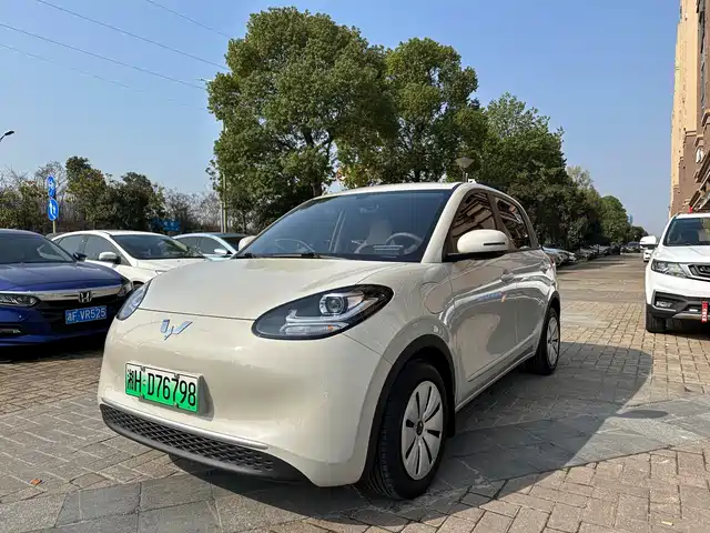 WULING WULING BINGGUO 2025