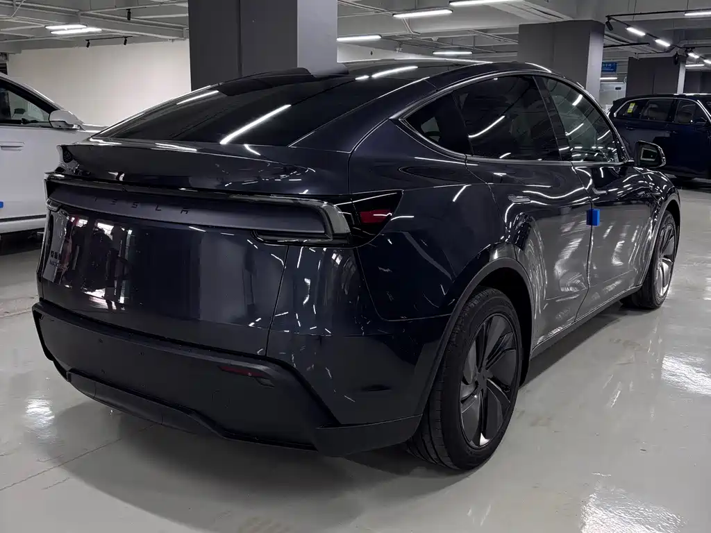 Tesla Model Y — миниатюра 8