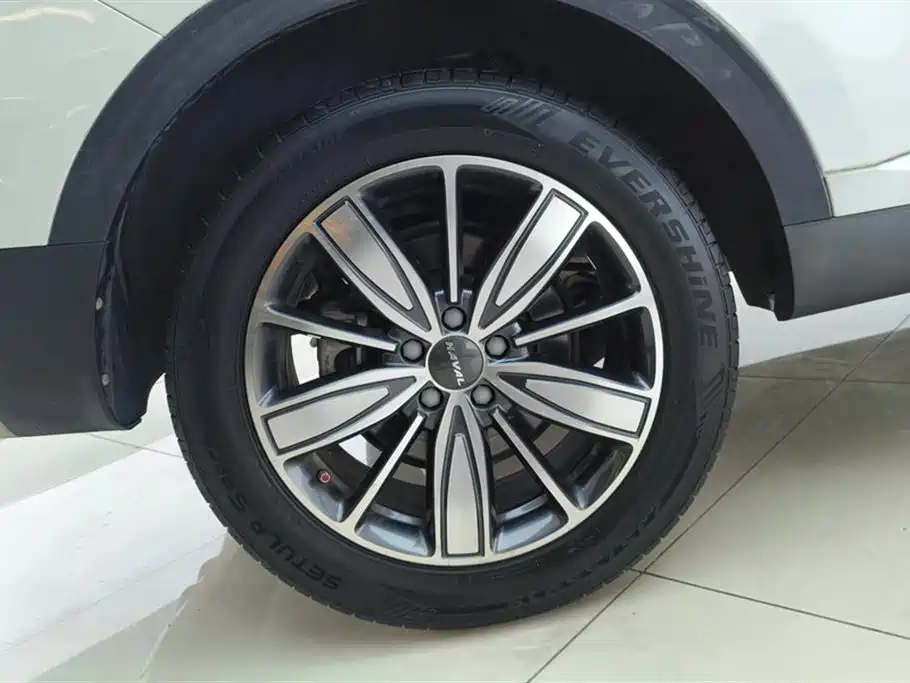Haval H6 2021 1.5T AT Champion
