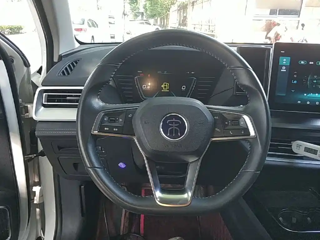 BYD Pro — миниатюра 11