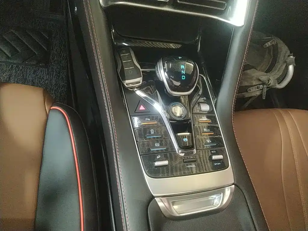 BYD PLUS — миниатюра 14