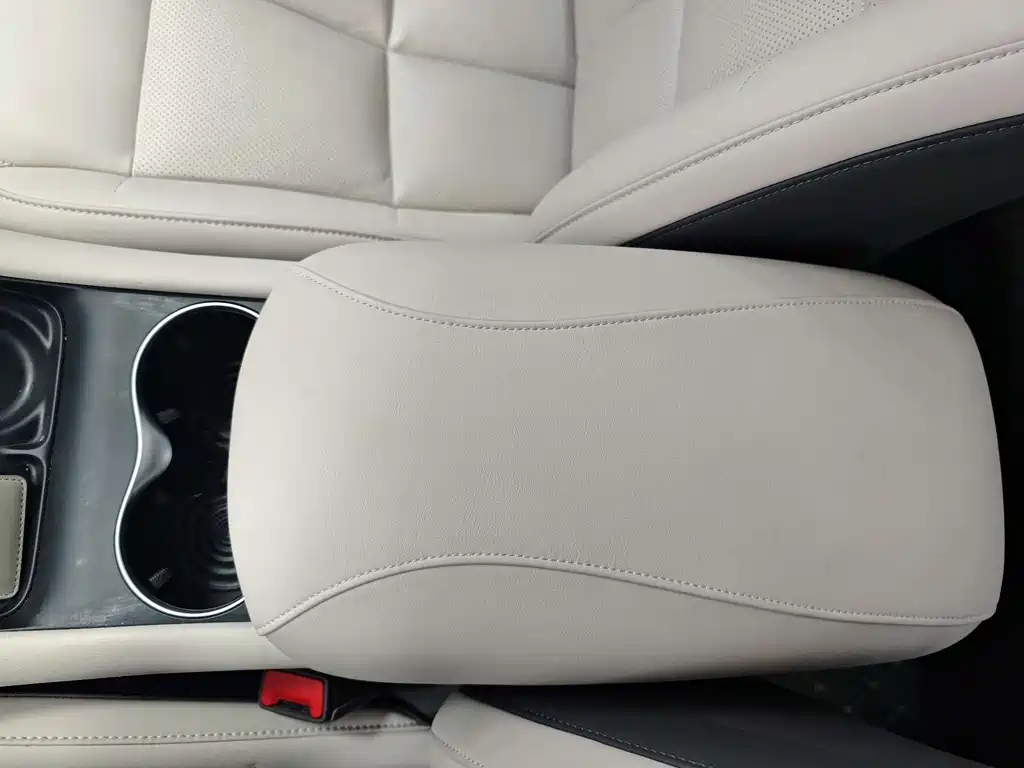 ZHIJI AUTOMOBILE ZHIJI LS6