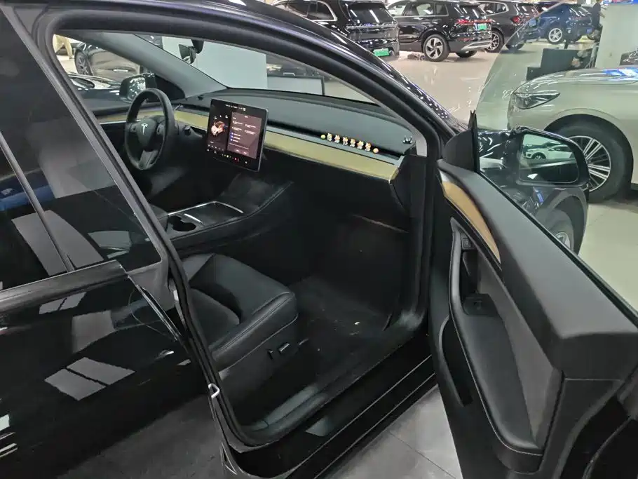 Tesla Model Y — миниатюра 8