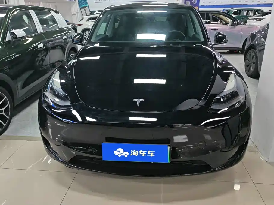Tesla Model Y — миниатюра 2