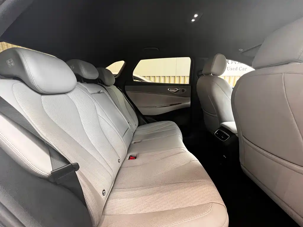 BYD SEA LION 06 NEW ENERGY