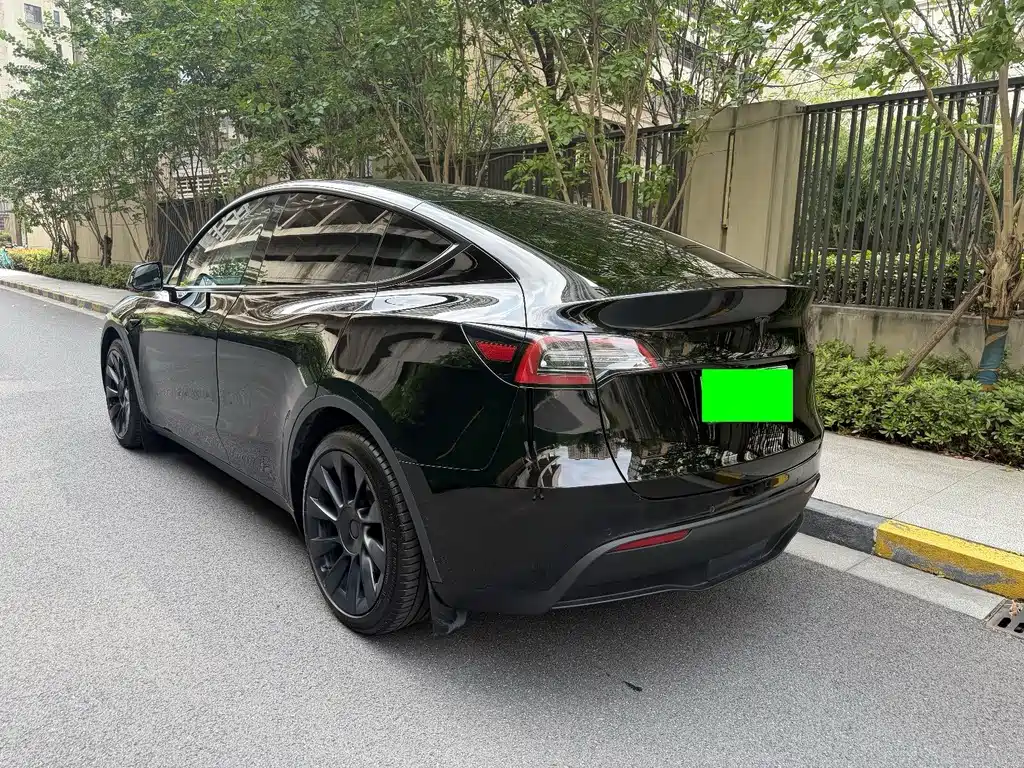 Tesla Model Y — миниатюра 5