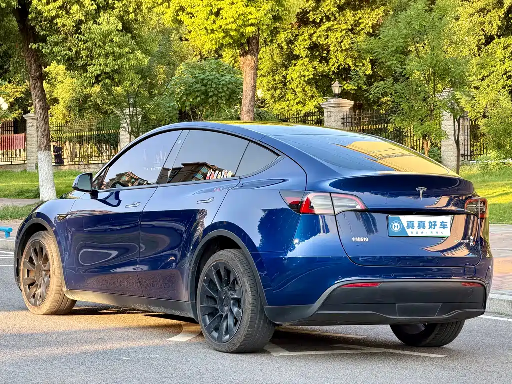 Tesla Model Y — миниатюра 6