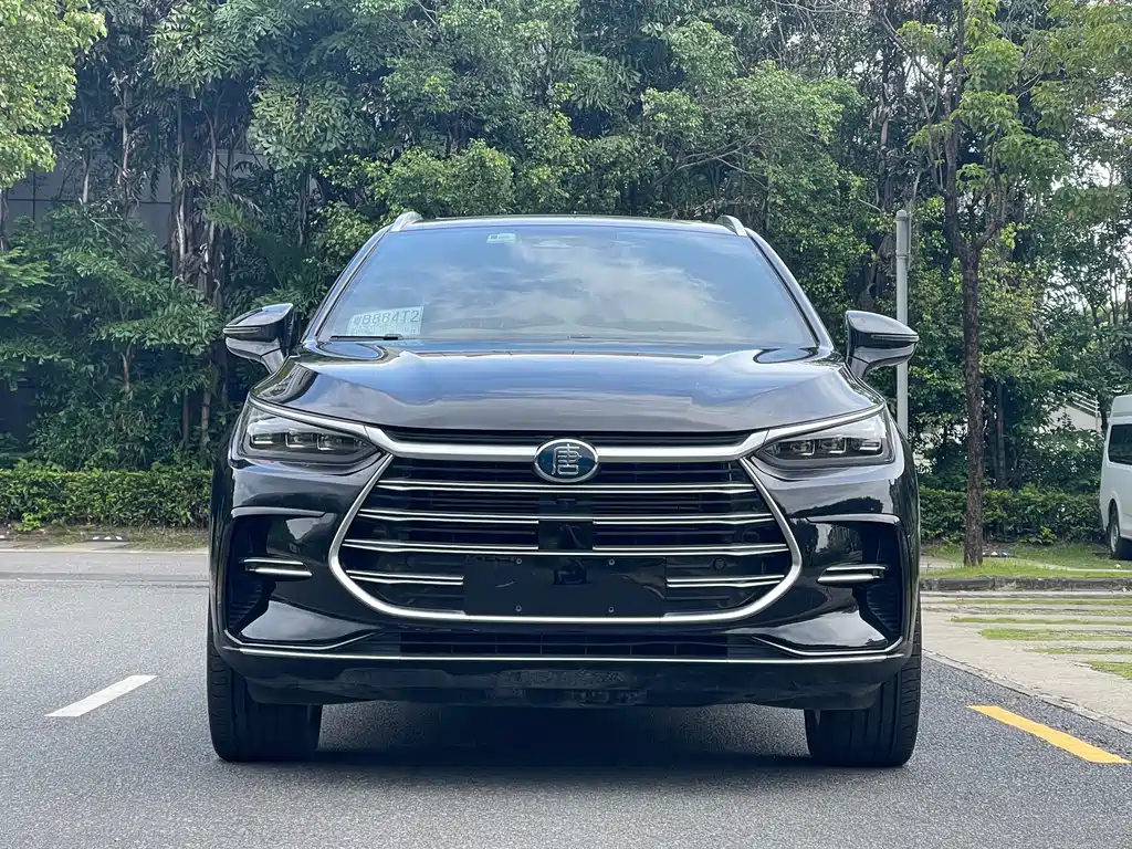 BYD Tang New Energy — миниатюра 2
