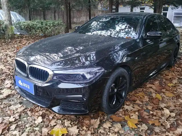 BMW 5 SERIES 2019