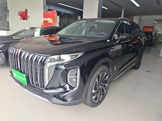 2024 Hongqi HS7