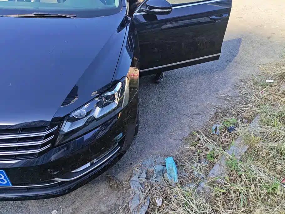 Volkswagen Passat — миниатюра 5