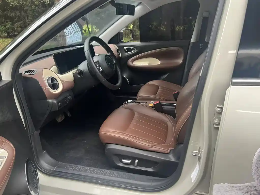 Wuling Binguo 2023 333km +