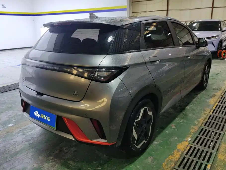 BYD Dolphin 2021 405km Fashion