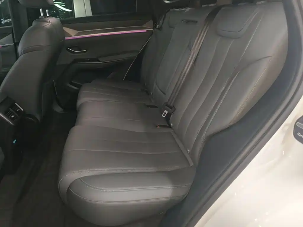 BYD Pro New Energy — миниатюра 17