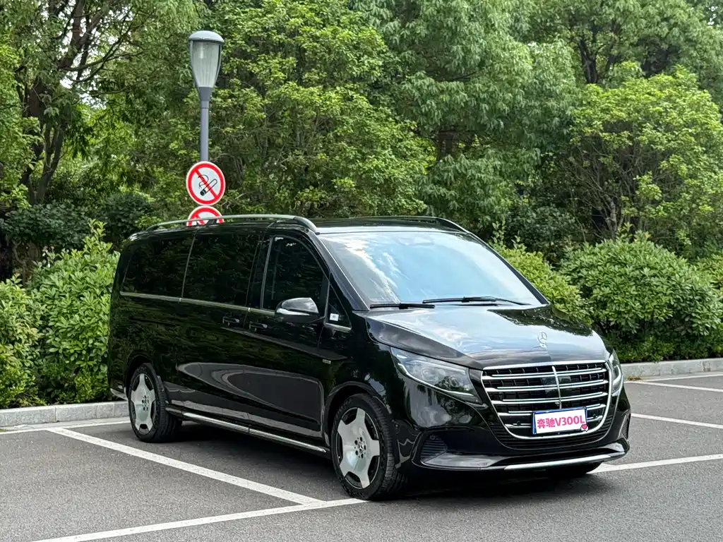 Mercedes-Benz V-Class V 2024 V 300 L Luxury