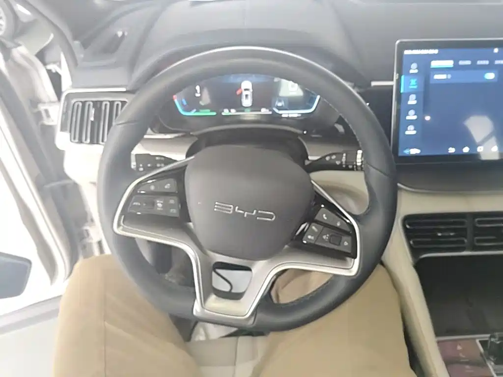 BYD PLUS New Energy — миниатюра 11