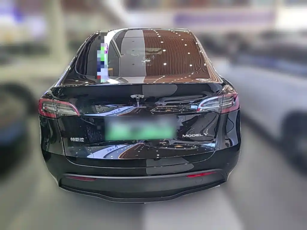 Tesla Model Y — миниатюра 8