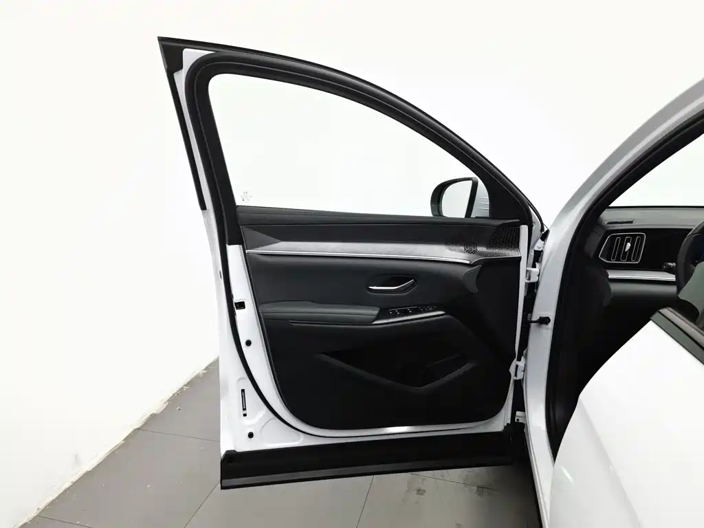 BYD Pro New Energy — миниатюра 8