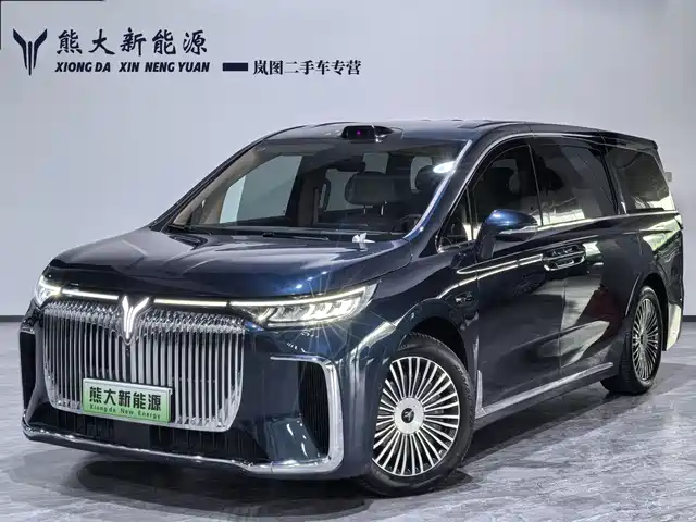 2025 Voyah Dream
