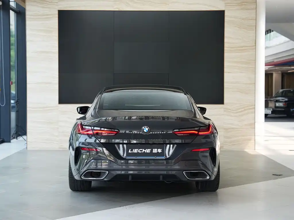 BMW 8 Series — миниатюра 16
