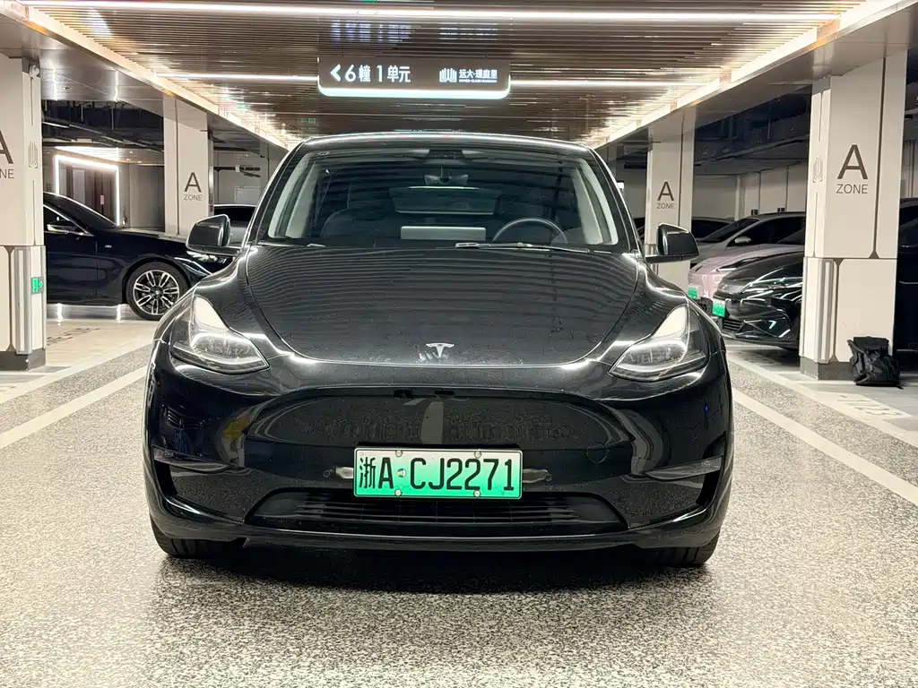 Tesla Model Y — миниатюра 2