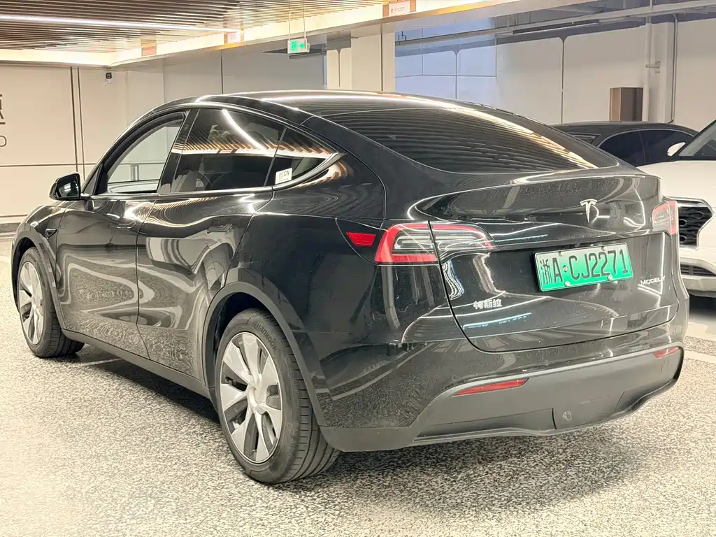 Tesla Model Y — миниатюра 10