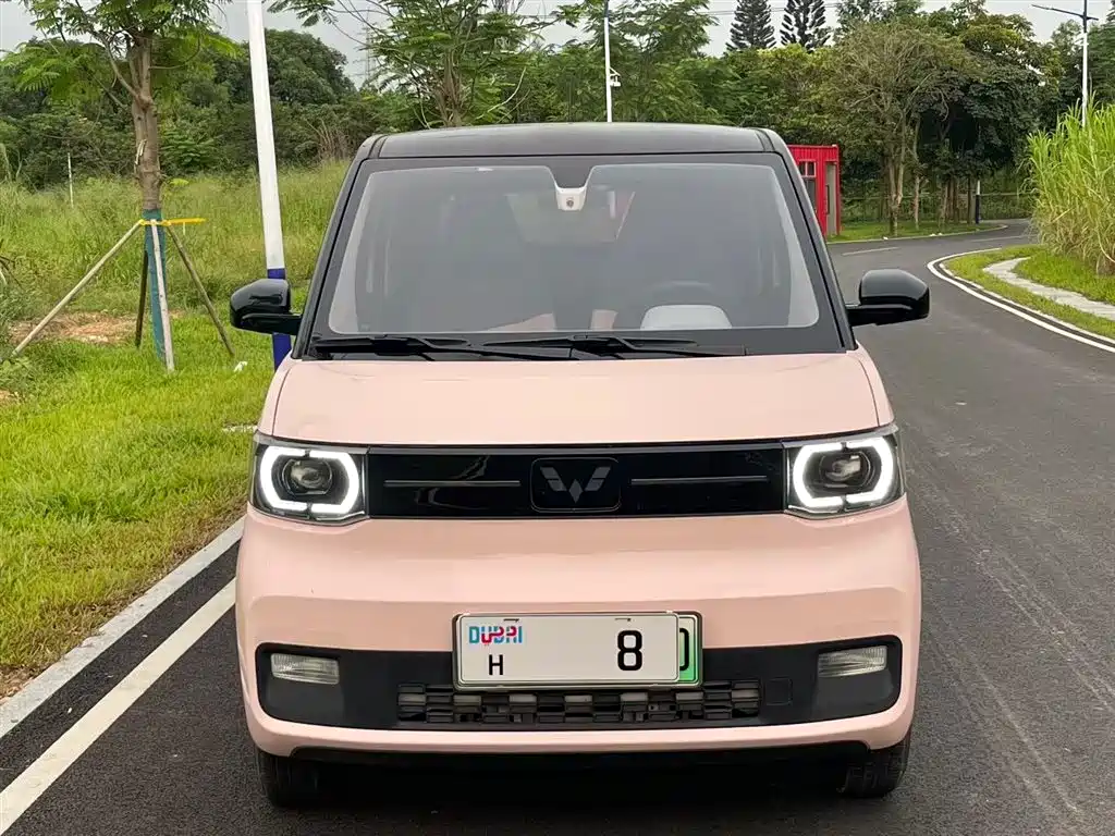 Wuling Mini EV MINIEV 2022 Enjoy