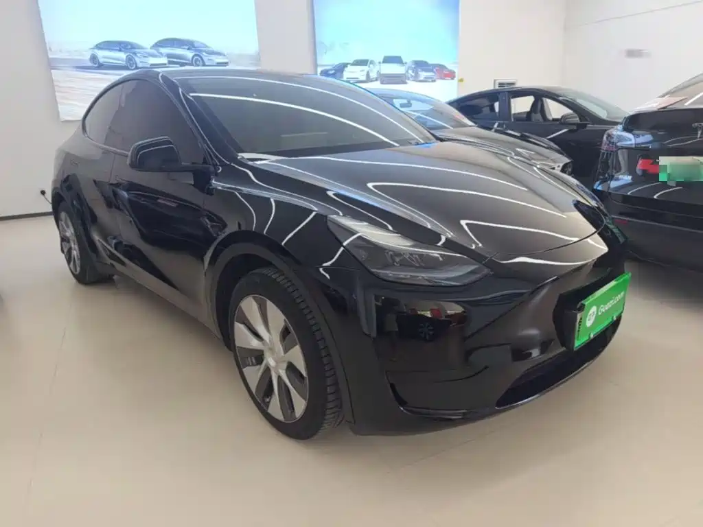 Tesla Model Y — миниатюра 4