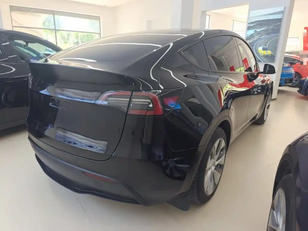 Tesla Model Y — миниатюра 7