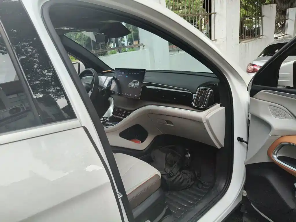 BYD Pro New Energy — миниатюра 19