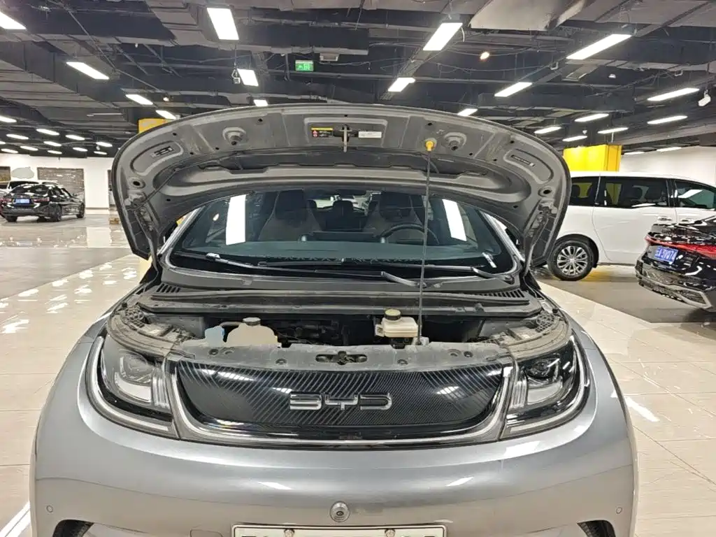 BYD Dolphin — миниатюра 20
