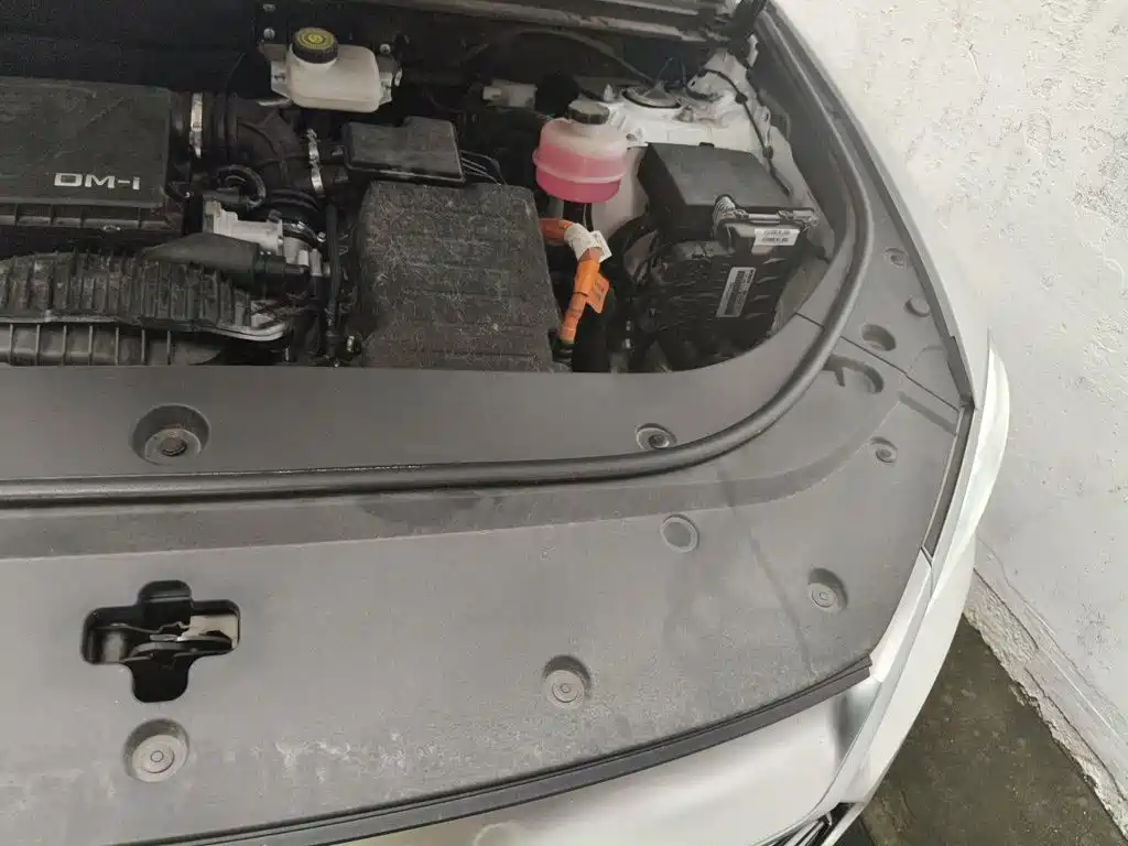 BYD Pro New Energy — миниатюра 21