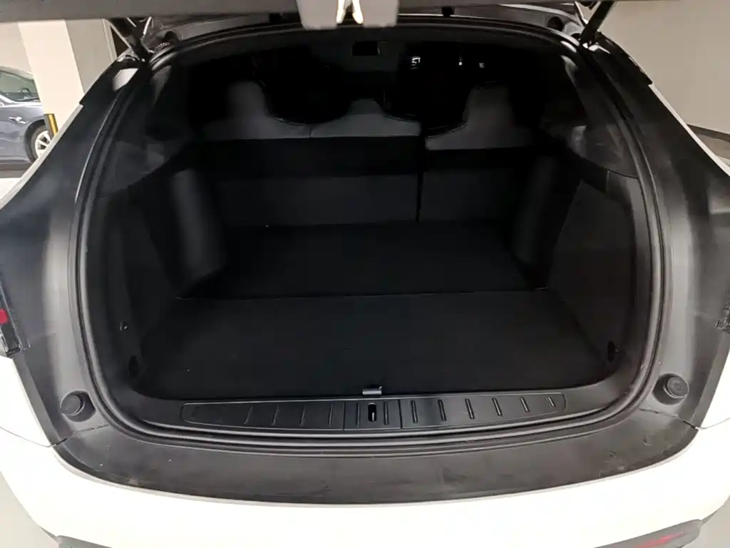 Tesla Model X — миниатюра 19