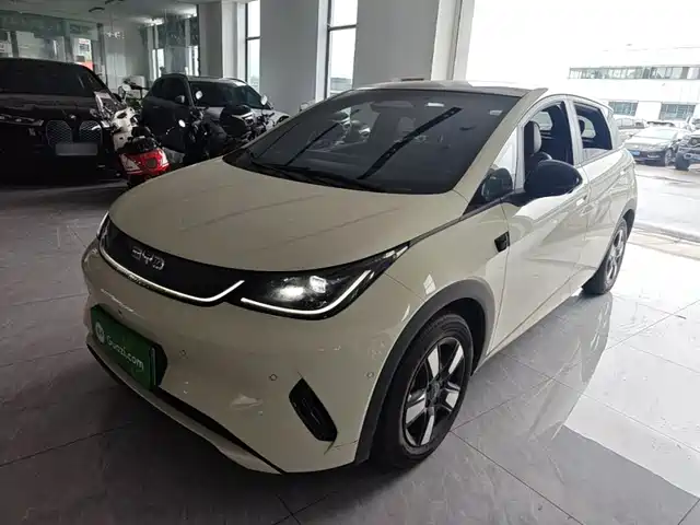 2025 BYD Dolphin