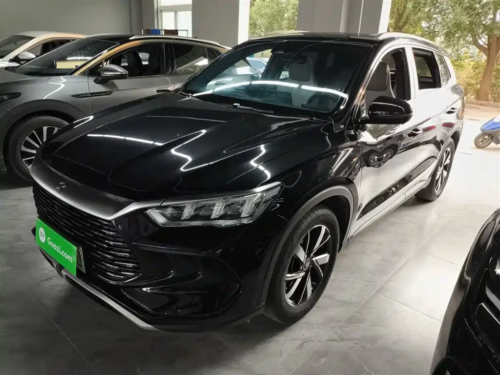 BYD Pro New Energy 2024