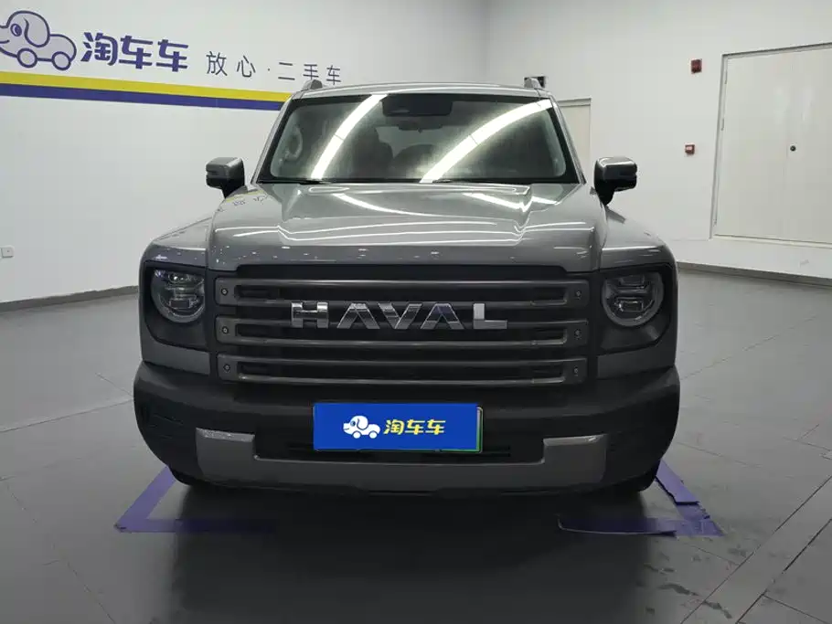 Haval Menglong New Energy — миниатюра 2