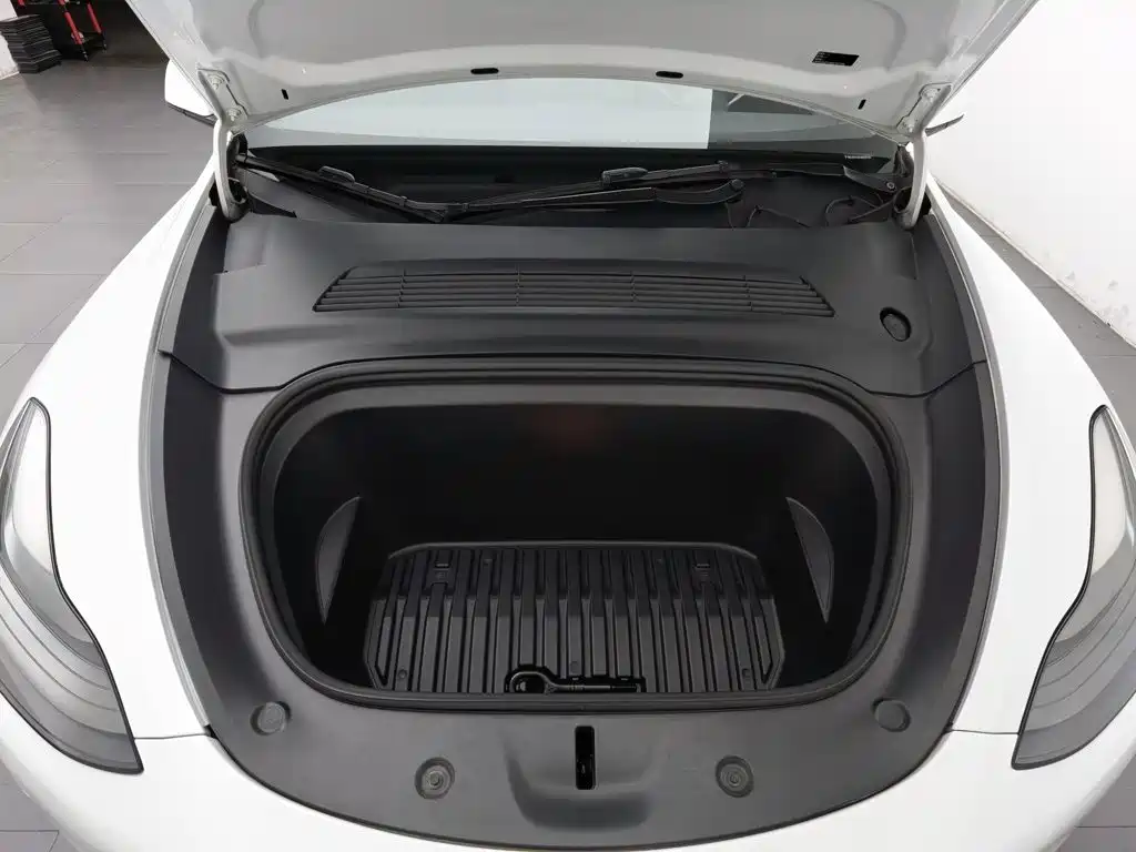Tesla Model Y — миниатюра 6
