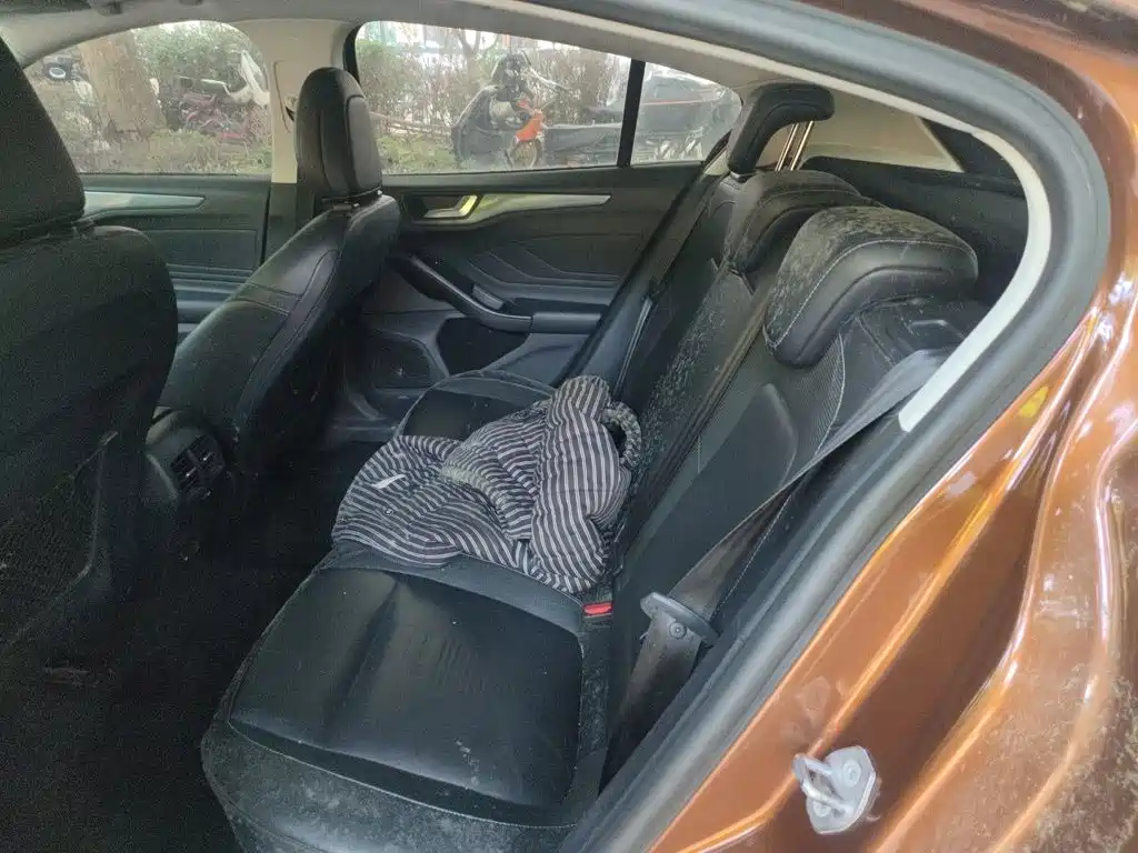 Ford Focus Active — миниатюра 13