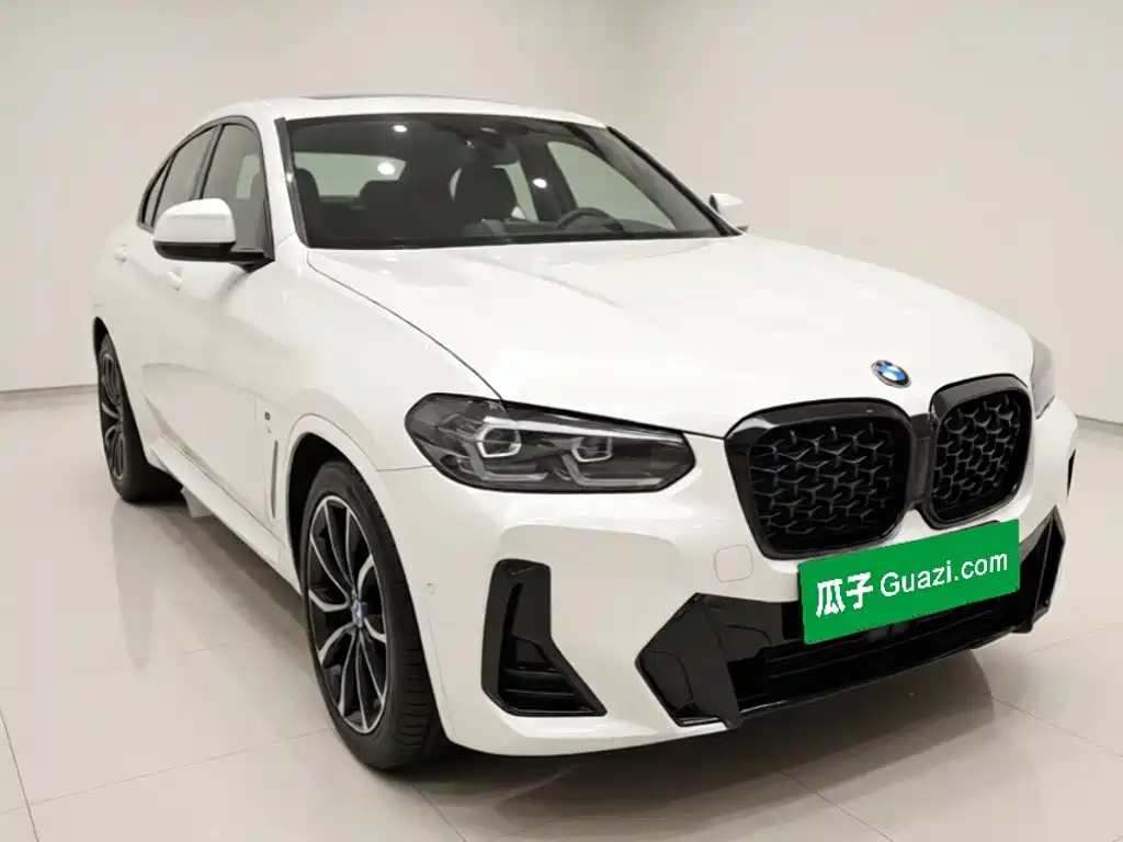 BMW X4 — миниатюра 3
