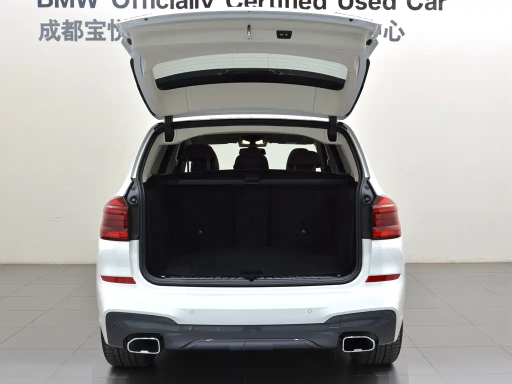 BMW X3 2021 xDrive30i Lead M Sport