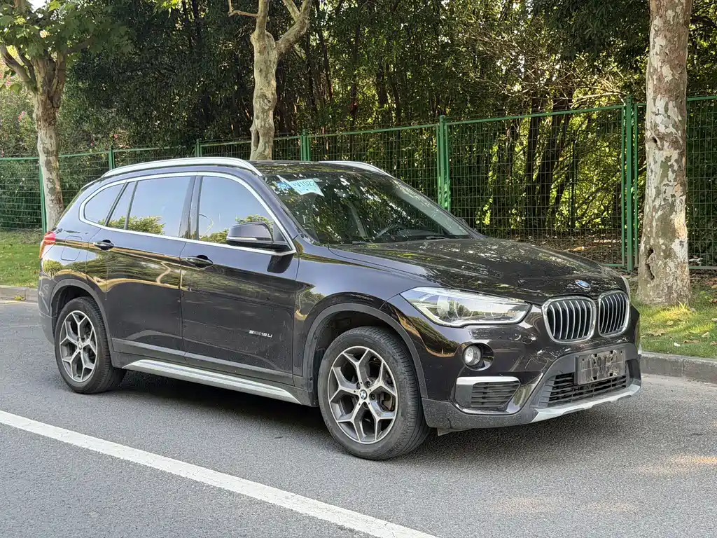 BMW X1 — миниатюра 2