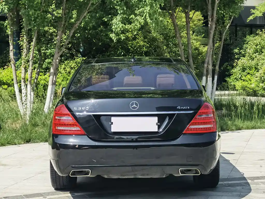 Mercedes-Benz S-Class S 2010 S 300 L Luxury