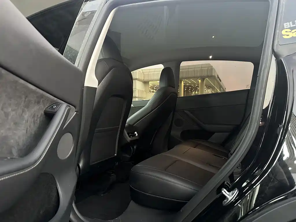 Tesla Model Y — миниатюра 10