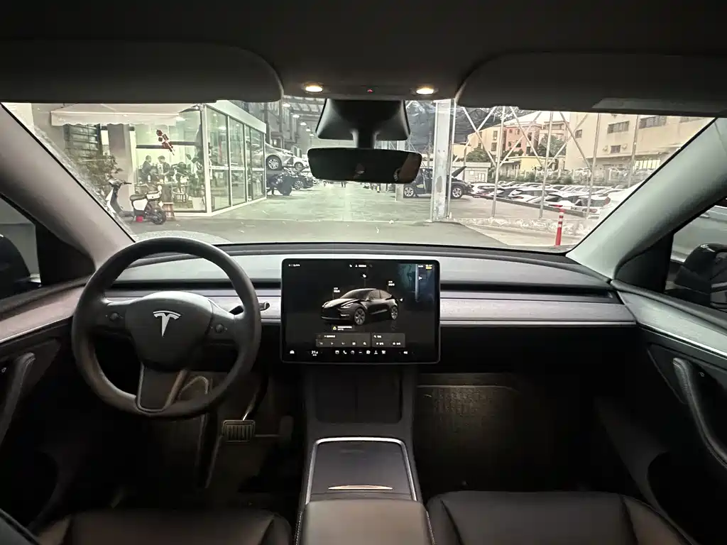 Tesla Model Y — миниатюра 12