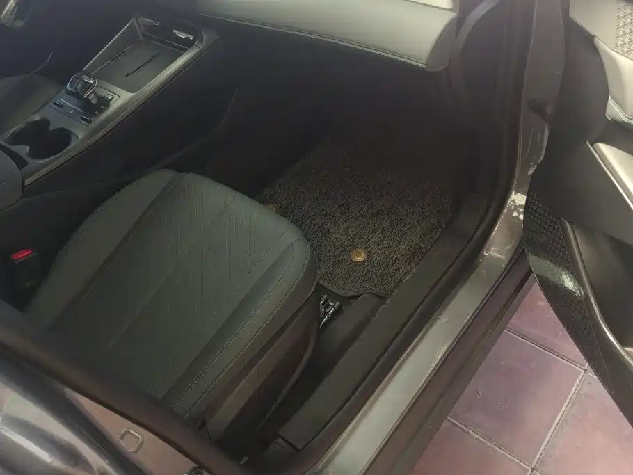 BYD Qin Plus PLUS 2025 DM-i Smart Drive 55KM Lead