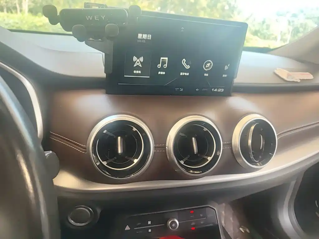 Wey Wey VV6 — миниатюра 6