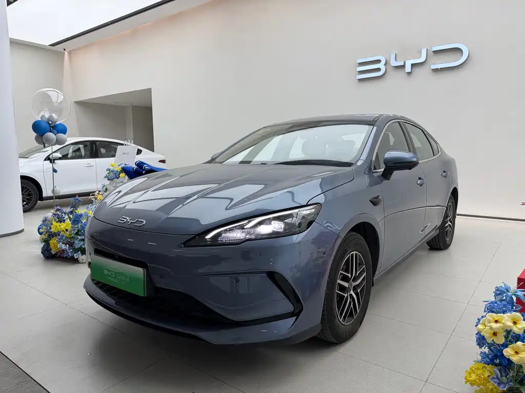 2025 BYD Sea Lion - zdjęcie 1 z 13