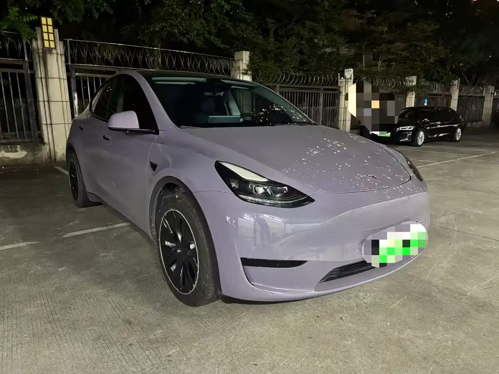 Tesla Model Y — миниатюра 2